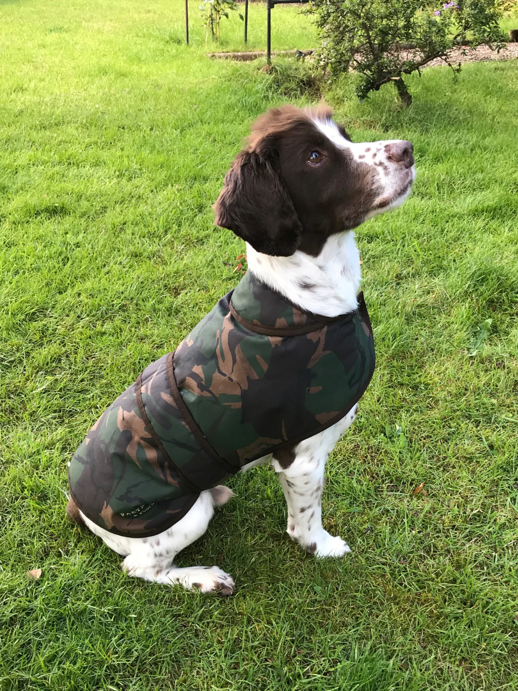 Dog Coat - Camo Wax - Image 5